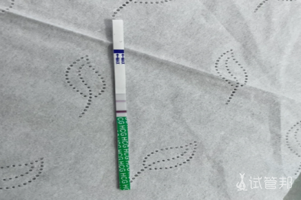 85de6e82e6c9bc867a1f75184e56be4a.png 试管婴儿移植后1-7天症状