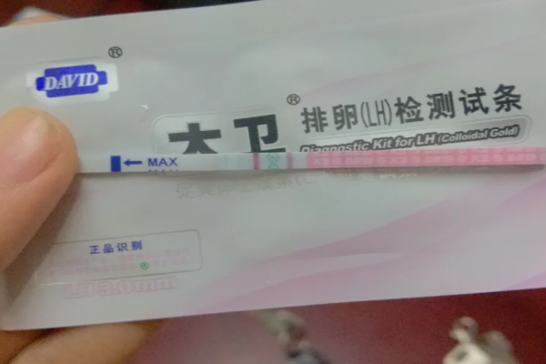 北京试管助孕借卵生子费用是多少
