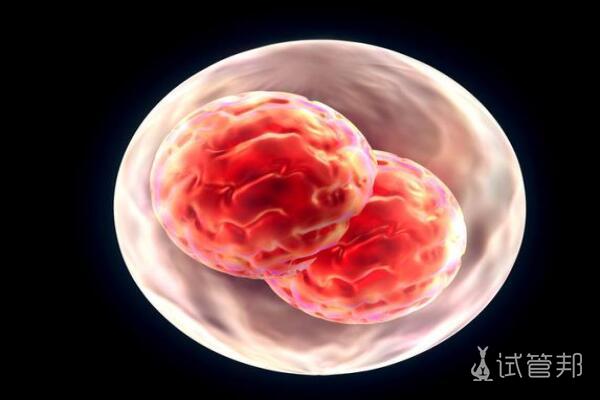 3b604d6d8c4f09abc88c4c154d9415c1.jpg 第二代试管婴儿适合哪些人群