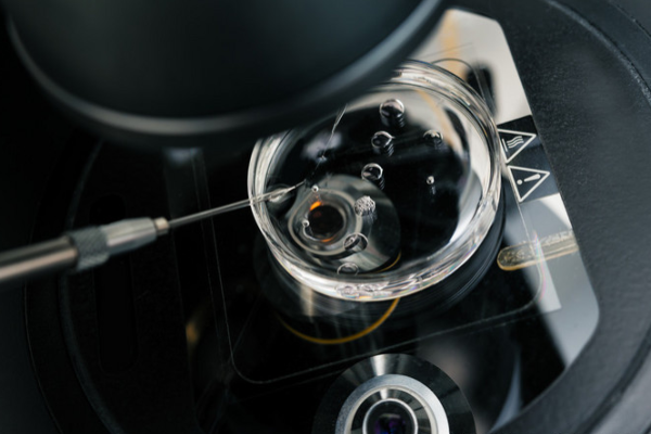 a951ba2e93c937126da239a0523c3c2c.png 子宫壁薄做试管婴儿成功率高吗