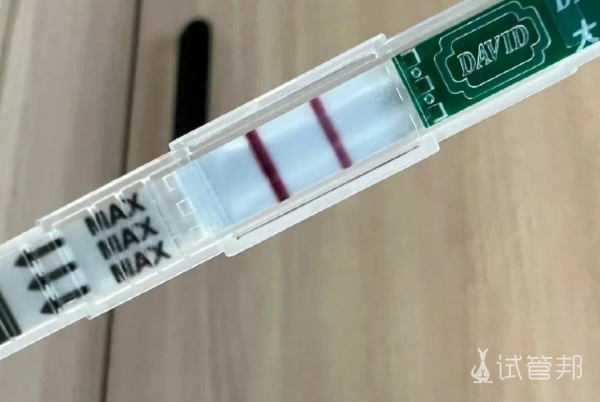 4def56822985d50d4a588cb5ea6b2821.png 胚胎移植后的十三天症状感受分享