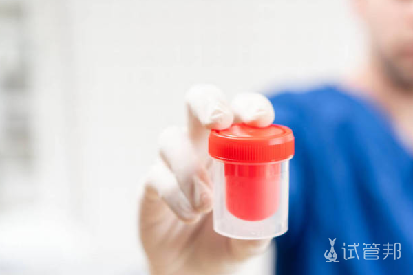 8122f8e48040205da3898d69a357c0c8.png 做试管婴儿检查大概要多久