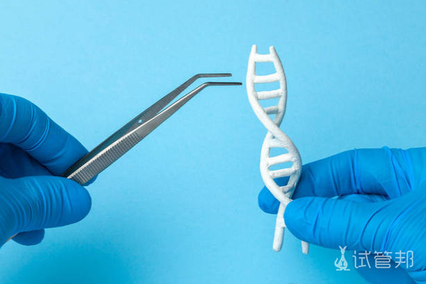 7160d3ffd56da2a808d86080e1ff6599.png 试管婴儿染色体检查什么