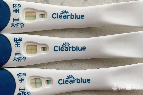 834423464f0abfcd69f75ab23e8681b4.png 试管婴儿囊胚移植几天可以验出来