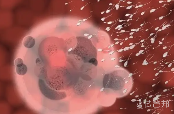 13c5aad46aed34993009ae5d3db700c3.png 试管移植大概需要多久