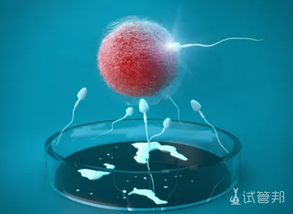 有胚胎在医院第二次做试管的流程
