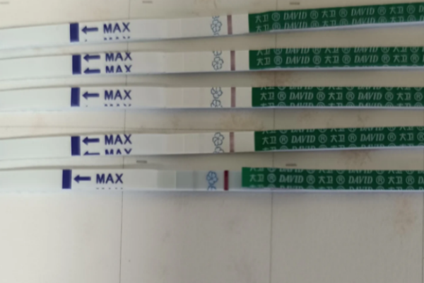 8bc2e72889411addd984440897eb4153.png 试管婴儿囊胚移植失败