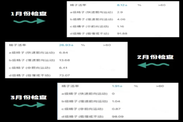 老公查精子情况活率不升反降