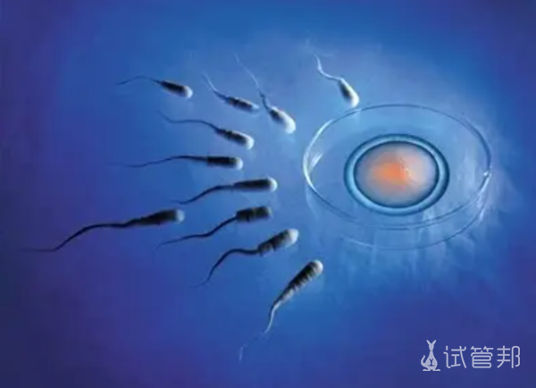 有胚胎第二次试管移植需要做哪些检查