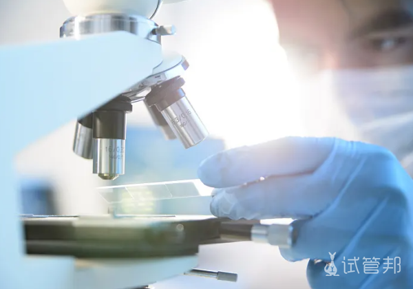 d109300669334755e071f36ed33a8f44.png 试管婴儿流程步骤和价格