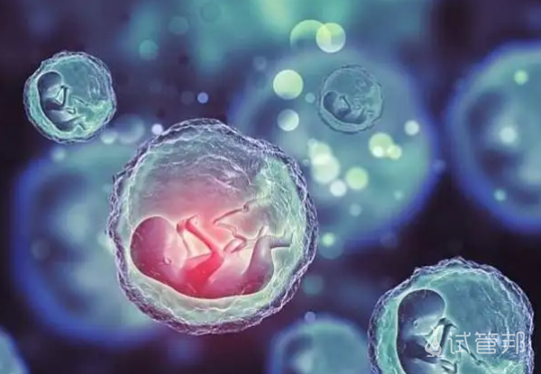 e6c86cd0ed0ebae7e134d7df666b8418.png 男士染色体异常做试管婴儿多少钱