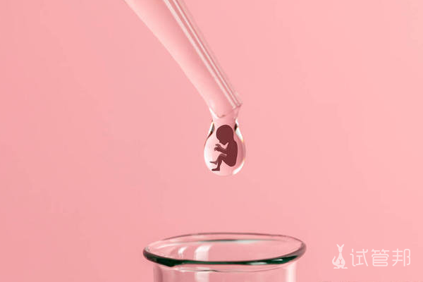 5513d03c70b5c1cb8d1c45519869101c.png 多囊做人工授精还是试管婴儿好