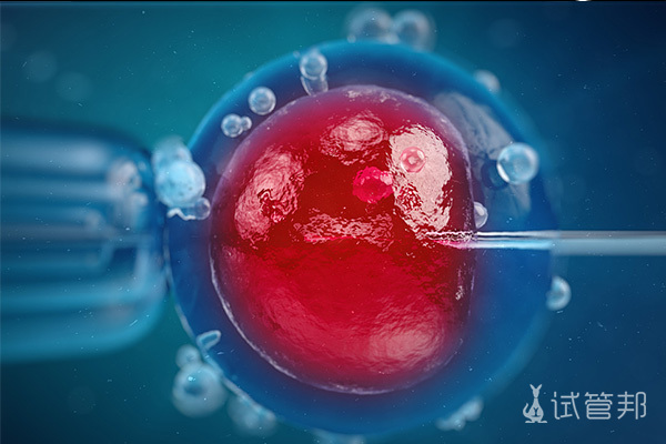 68cdc5246e8d532d5bd2682aea08989c.jpg 二级胚胎移植成功了对孩子有影响吗