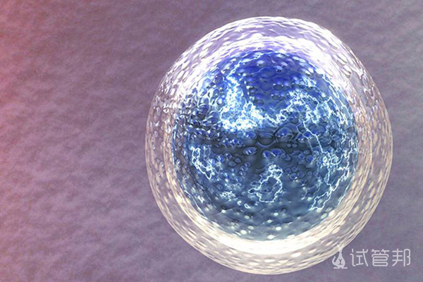 新鲜胚胎移植成功率高吗