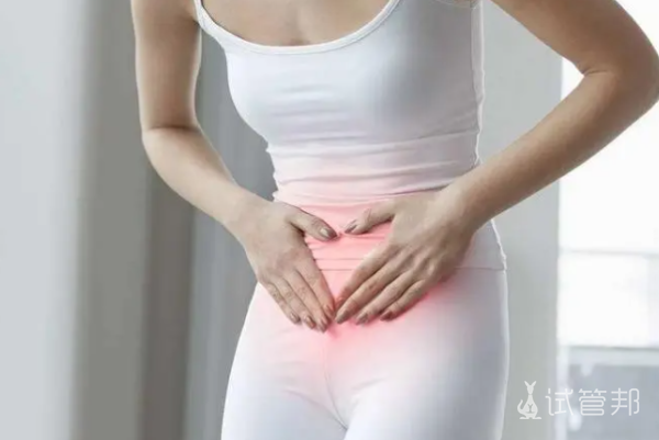 01be5d9ac89014d7ba1cdc677c8feb16.png 宫腔粘连试管成功几率大吗