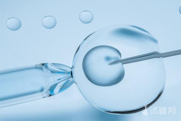 胚胎移植手术的注意事项有哪些