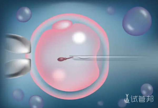 试管移植有宫腔积液对胚胎着床有影响吗