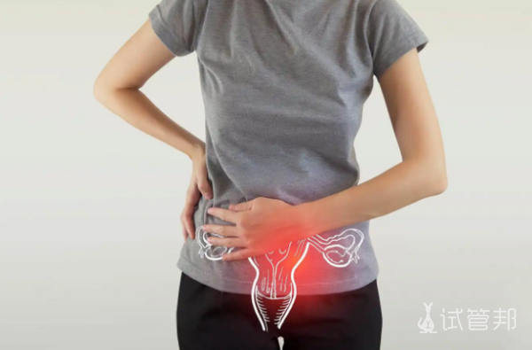 845ac56dd64beacb1496a720ed55fff7.png 试管移植有宫腔积液怎么治