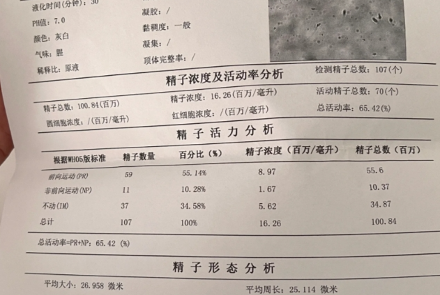 从我的角度来看孕前检查对男性同样至关重要