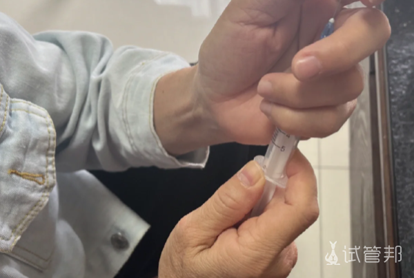 be3dbced3fc40d66962b8ed4d5e7e28d.png 多囊卵巢综合征加宫外孕决定尝试试管婴儿