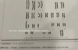 胎停2次才知道是老公染色体易位导致的！果断进行第三代试管！