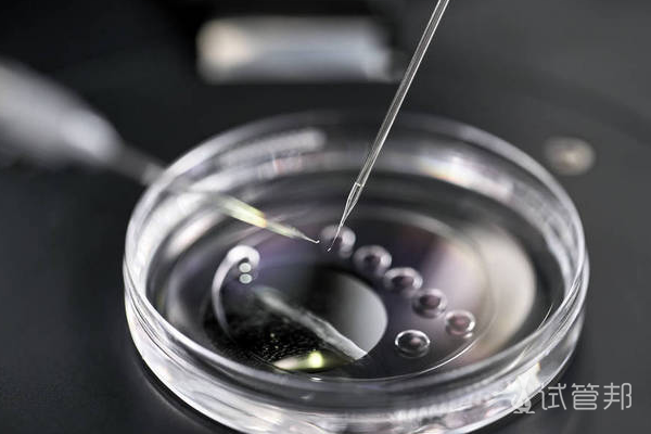 怎么提高胚胎质量