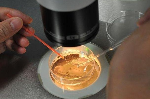 7a7c53d3765af5fdd6823ad8d6f5bced.png 深圳市妇幼保健院试管三代需要87412.64元吗