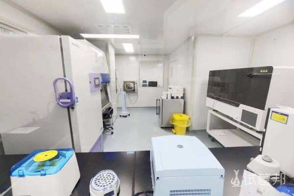 7d20c81da25a57de7e110a61aeafed2c.jpeg 取卵数量会受哪些因素影响