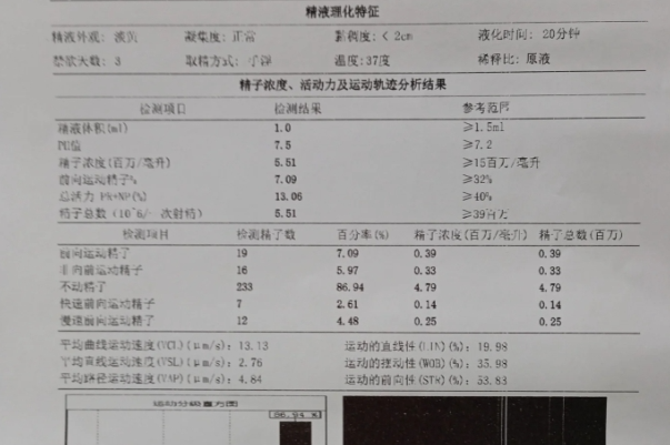 弱精的兄弟们来互相分享一下自己的调理方法吧