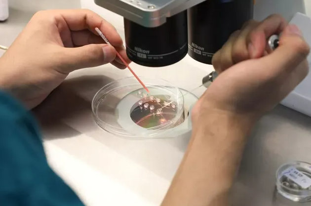 3b23647b996f86d1e2776925f56b1477.png 试管婴儿怎么做的全过程