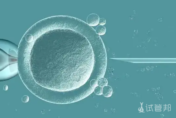 d989e161098d48024baef09ec813e148.png 广西试管婴儿费用大概要多少钱