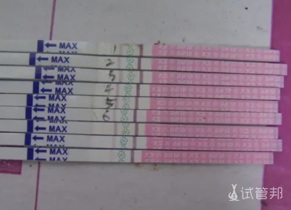 4730f4e28d6dd621118328348b495feb.jpg 备孕二胎却被查出卵巢早衰还好二代试管满足了我们的愿望