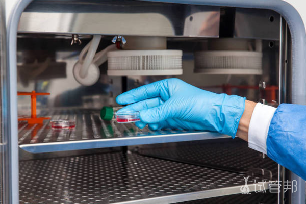 2dee56f60110217f4c4dba7e458800a3.png 什么是生育力保存