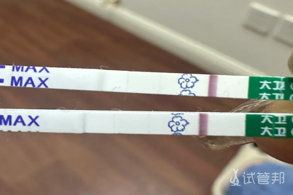 33e0369c975306bc816cbea37a9909a4.png 受精卵着床成功的信号竟然是这样的