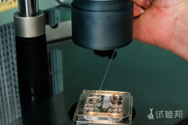 de491a51a6de03afe8063acd351d84e6.png 做三代试管婴儿促排卵食物有哪些