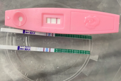 胚胎染色体异常，最终只能求助于试管婴儿技术怀孕