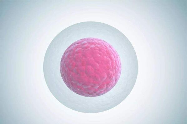 胚胎停育一次想去天津的大医院做试管婴儿求指点