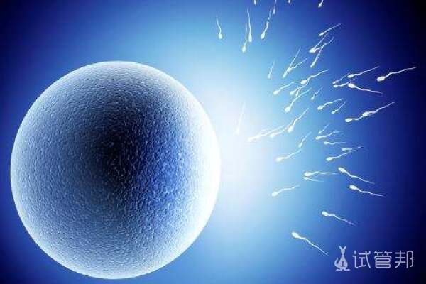 1fe580d1c889957e1cf28d736dbc3690.jpeg 卵泡发育不好怎么办