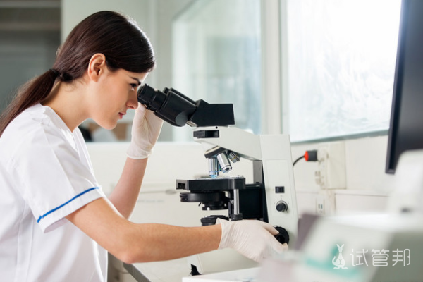 15b884b20747e484c76aed535841a7c7.png 试管婴儿包成功值不值得相信