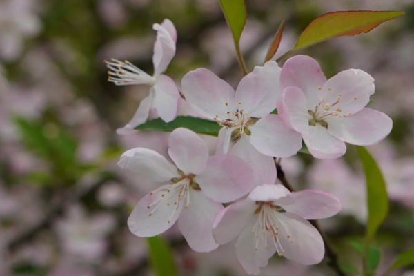 cd03a4cbbb0516b1801df5a763c98201.png 做试管婴儿有了宝宝