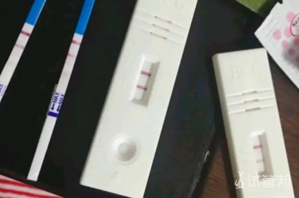 2c40e19905c0cc0bcd5da032e8b209cc.jpg 因老公精子质量问题选择了第二代试管婴儿所幸成功了