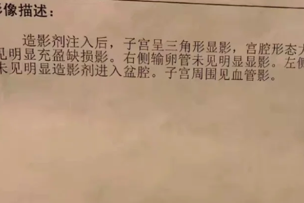 输卵管堵塞找对了医生自怀了