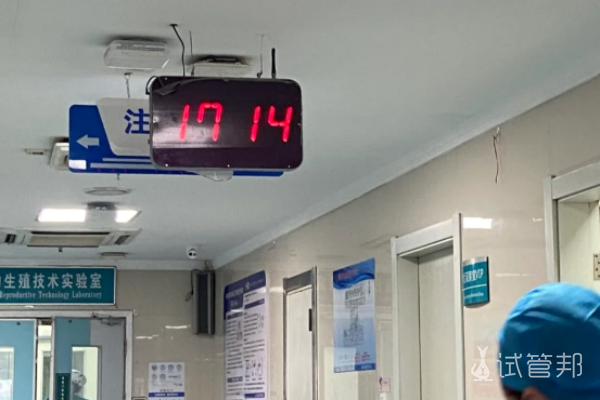 bd843809363c70401be88c488d363ef8.png 顺利取卵了决定休养下再移植