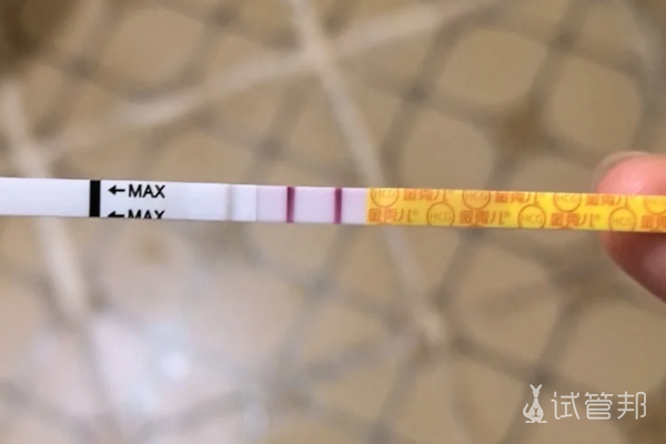 1bf0e13e5142c8fc749b4501c68f0de7.png 免疫性不孕做试管婴儿上岸了