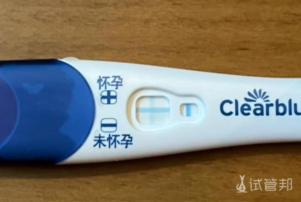 39e03144b02558a1a8dd2c72c80621fe.png 因抗精子抗体导致我3次人授都失败幸好还有试管婴儿可以选择