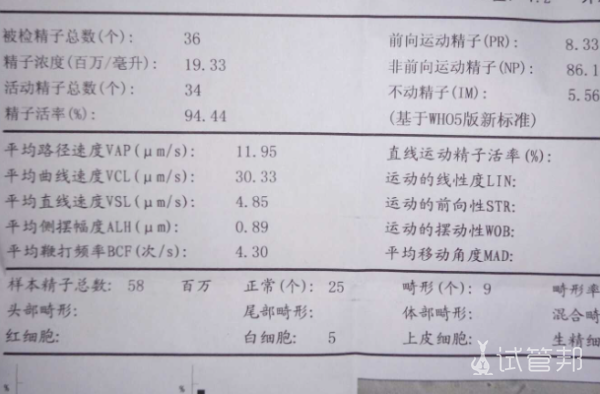 763eae7707f0a3fd90fc0b5feefc3905.png 科学备孕至关重要男性精子质量更是决定性因素