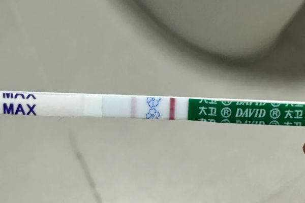 试管已成功上岸