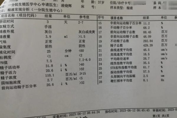 男方的精液检查也是很重要的