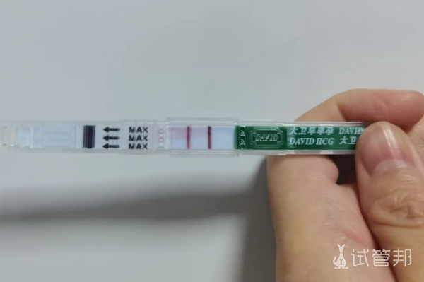 87b0f210a166885dcafe7758e7aaa0ff.png 姐妹们我终于完成了人工授精