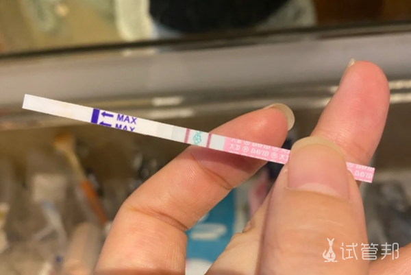 8ec281cd7bdb77724f59590c86ca1e1a.png 长时间备孕无果没想到是我染色体有问题最终选择了三代试管